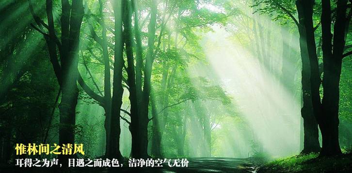五一去杭州怎么樣？杭州千島湖五一游玩攻略